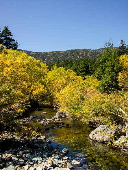 b0244811_22331365.jpg