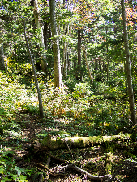 b0244811_22415567.jpg