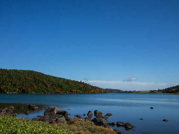 b0244811_22451466.jpg