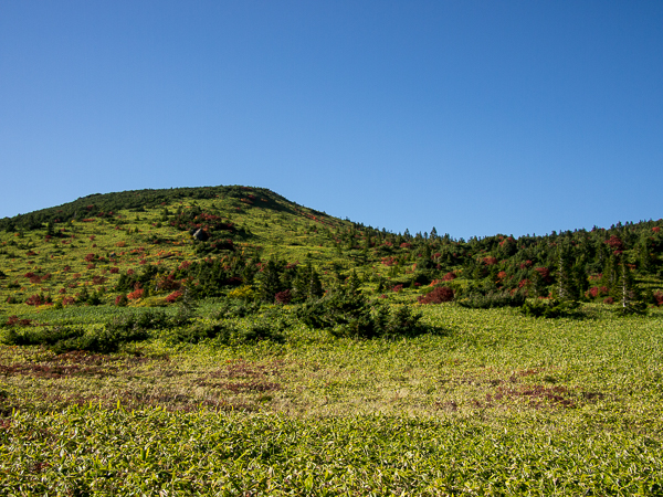 b0244811_22472541.jpg