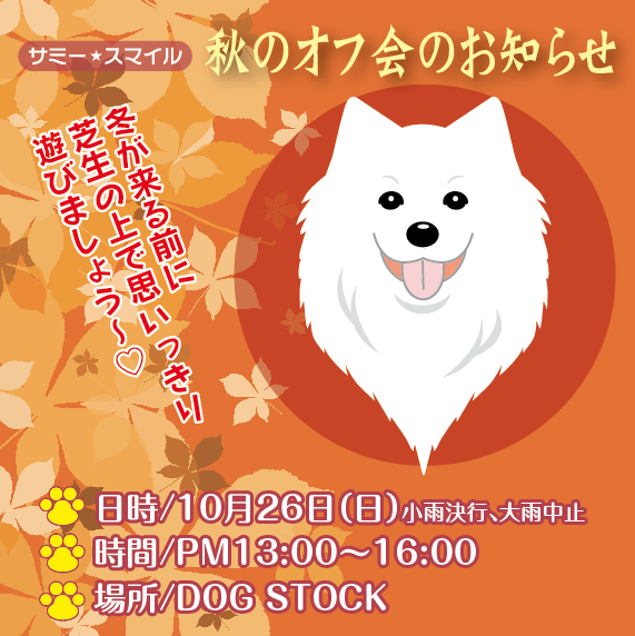 a0044521_1444540.png