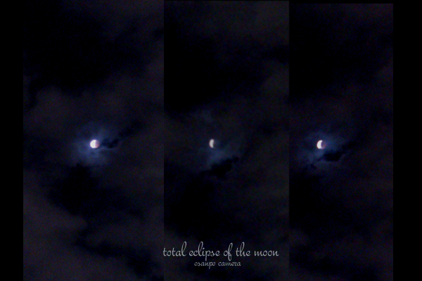 d0155821_22475881.jpg