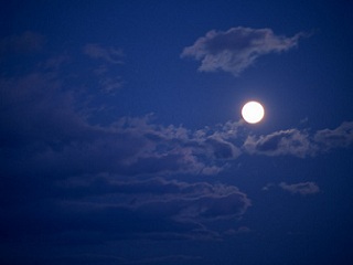 c0051529_10243767.jpg