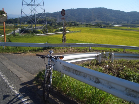 b0222530_1552949.jpg