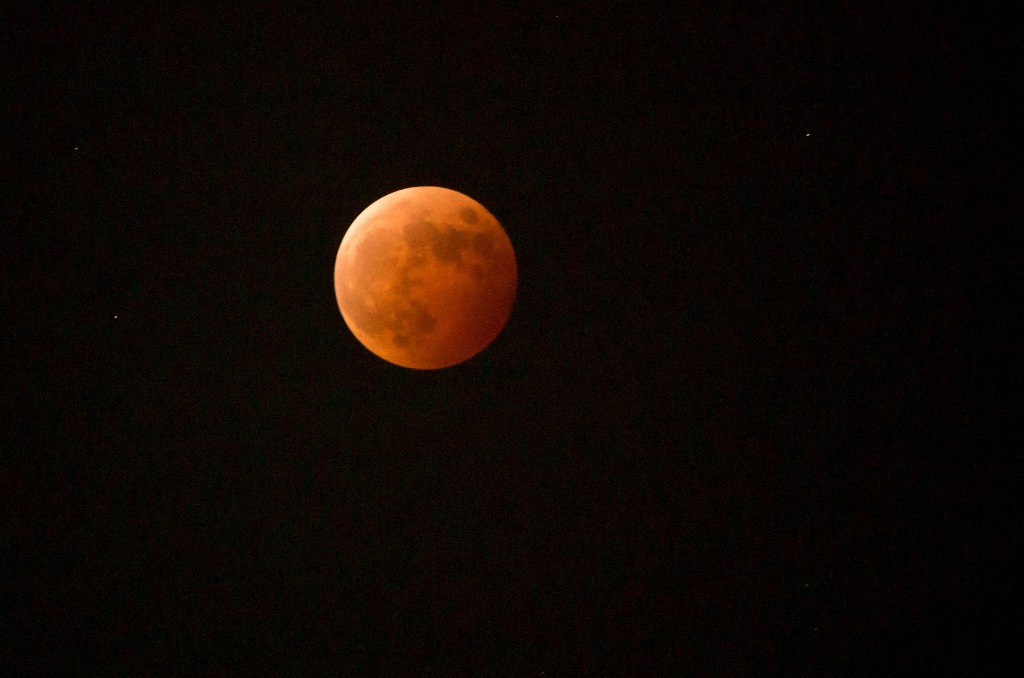 c0106831_2126531.jpg