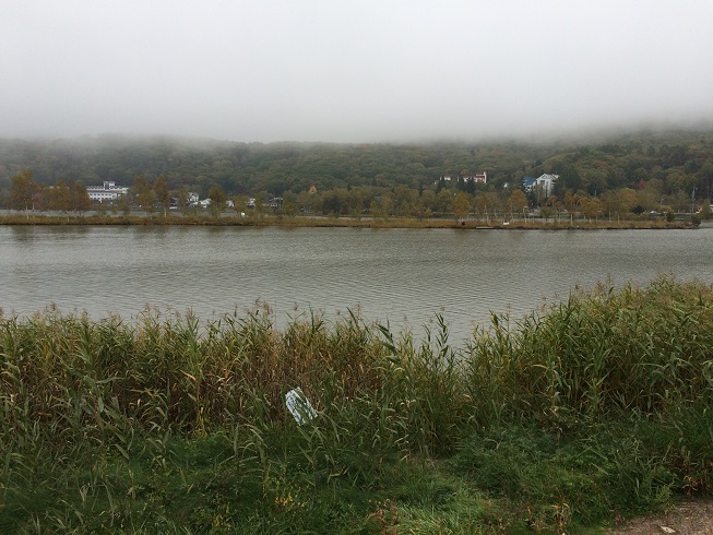 e0125131_10364228.jpg