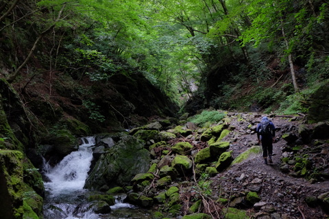 b0281732_7104569.jpg
