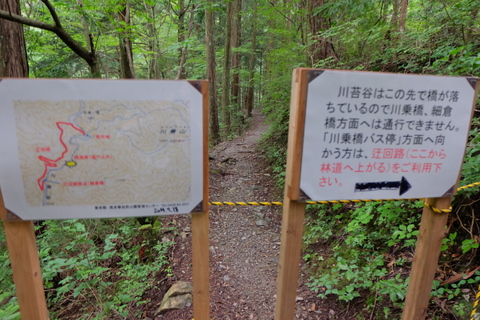 b0281732_71230100.jpg