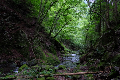 b0281732_712384.jpg