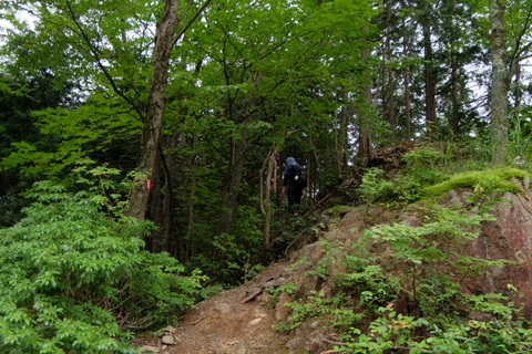 b0281732_7125076.jpg