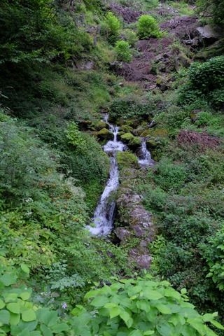 b0281732_7133942.jpg