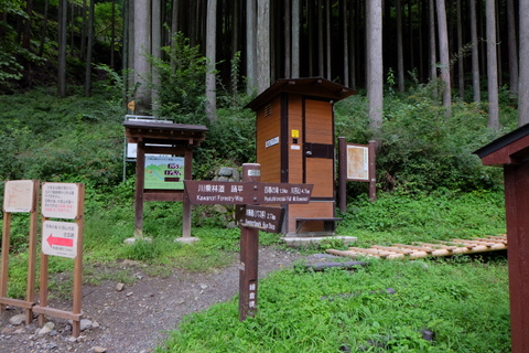 b0281732_713584.jpg