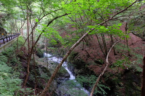 b0281732_714357.jpg