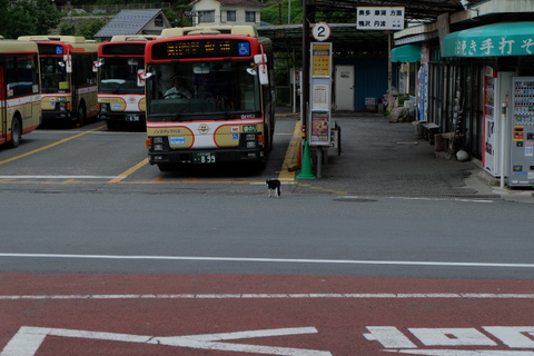 b0281732_7145776.jpg