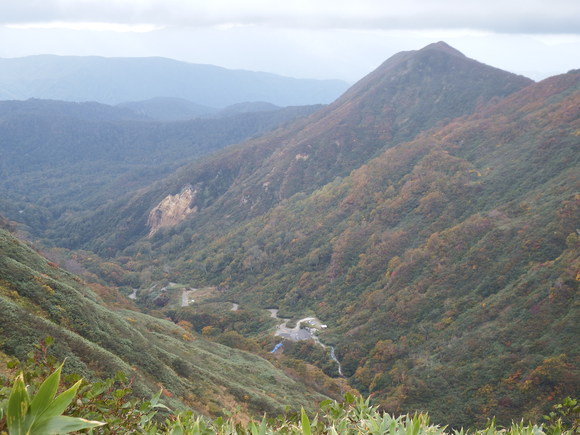 f0118332_10172961.jpg