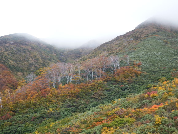 f0118332_1022157.jpg