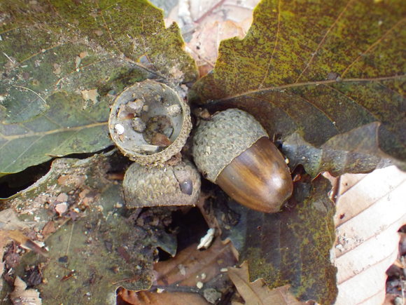 f0118332_10251916.jpg
