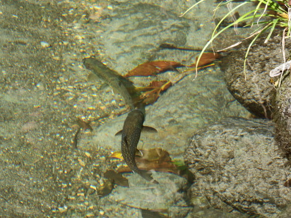f0118332_1032148.jpg