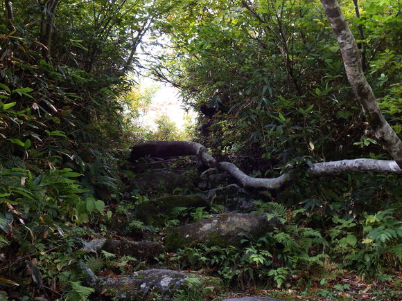 f0118332_1064095.jpg