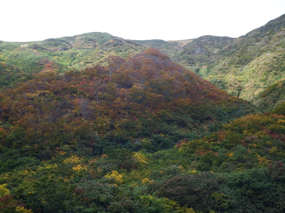 f0118332_1072344.jpg
