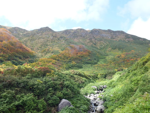 f0118332_107691.jpg