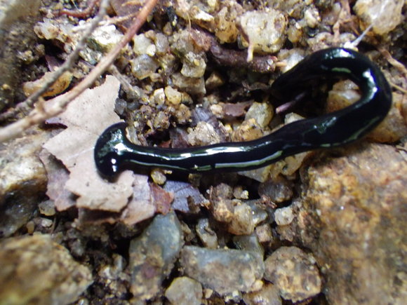 f0118332_12233067.jpg
