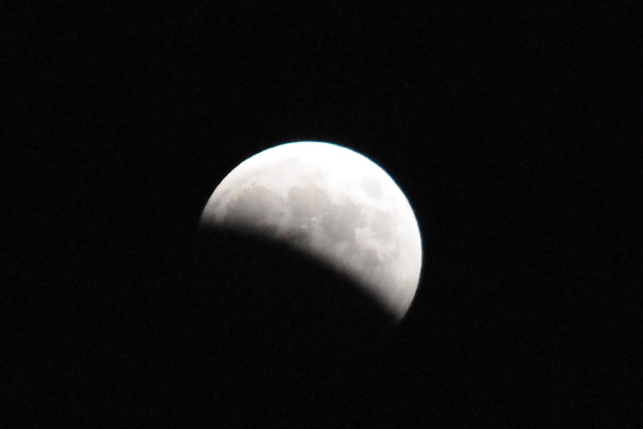 f0118332_20424453.jpg