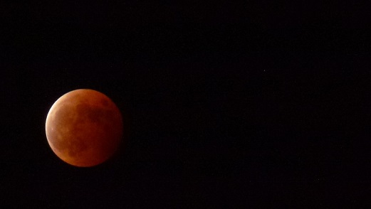 a0011534_21571299.jpg