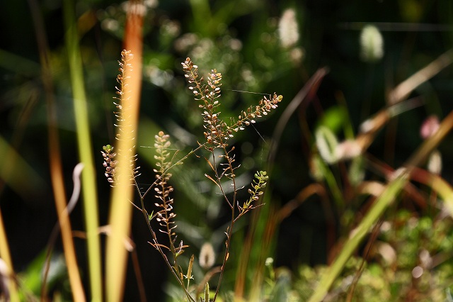 a0242438_18194440.jpg