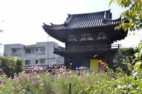 a0100742_106584.jpg