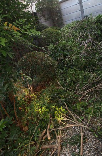 d0317548_8134822.jpg