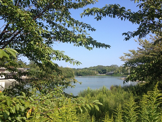 c0145449_22044860.jpg