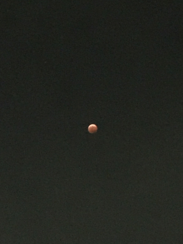 b0158551_20491134.jpg