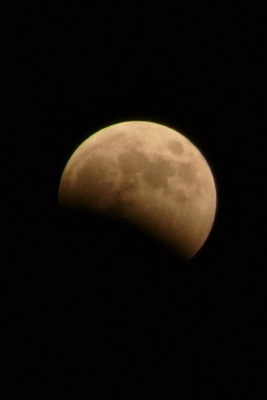 f0050651_21375279.jpg