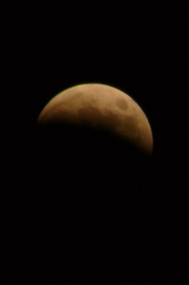 f0050651_21375617.jpg
