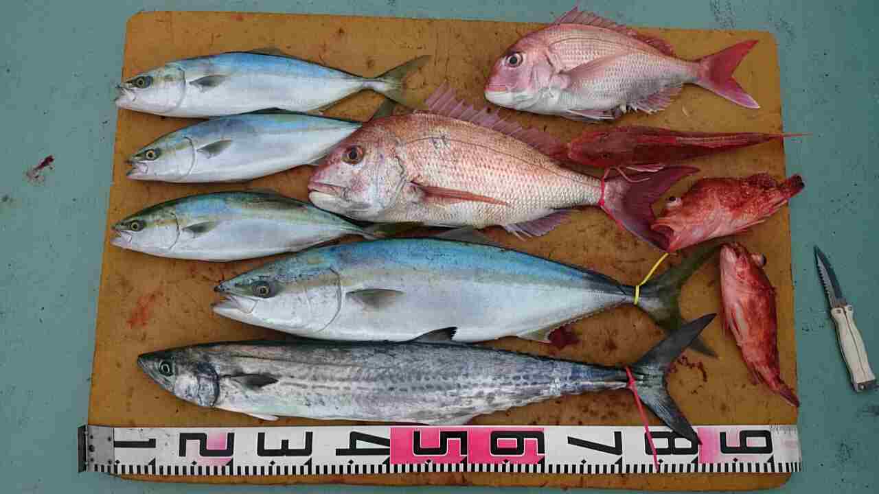 a0248152_18224628.jpg