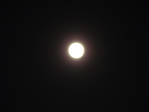 e0004756_2140720.jpg