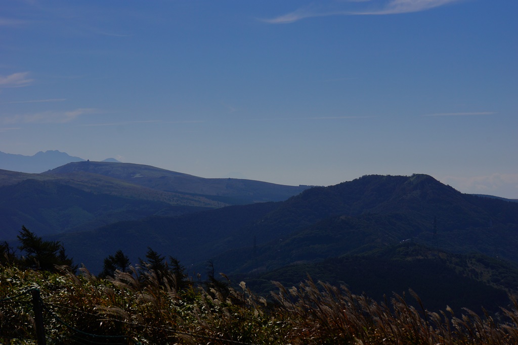 e0223456_10561145.jpg