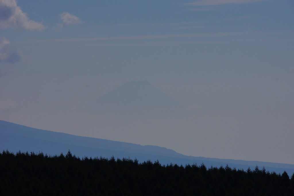 e0223456_1152299.jpg