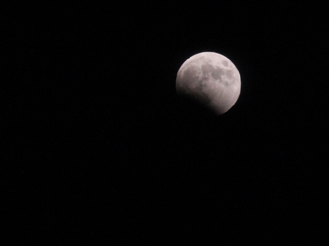 b0158061_225162.jpg