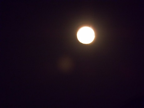 d0135762_20161015.jpg