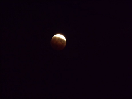 d0135762_20162114.jpg