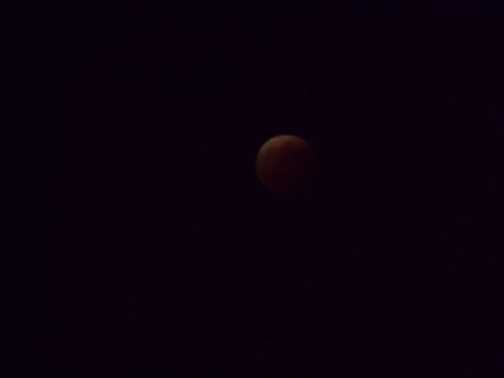 d0135762_20165818.jpg