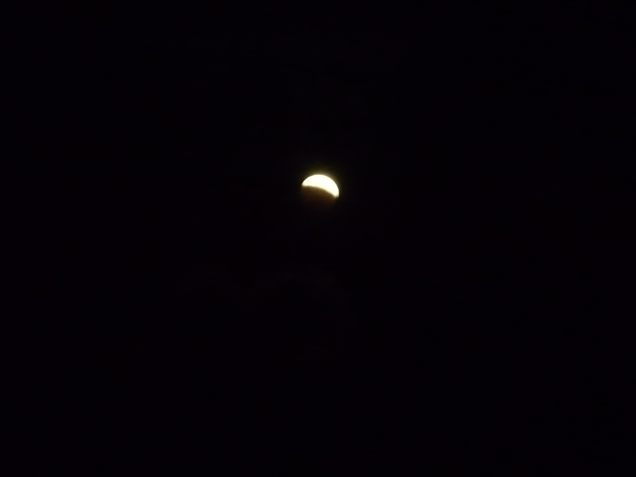 f0339068_19042220.jpg