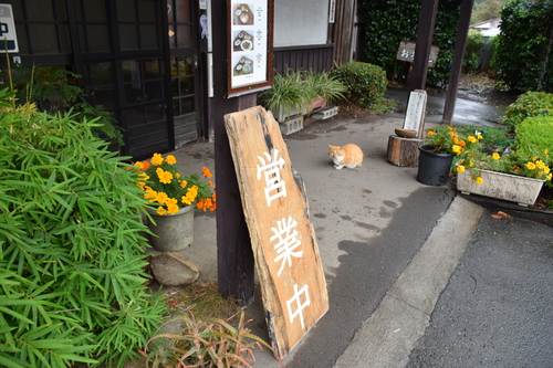 f0342371_20444235.jpg