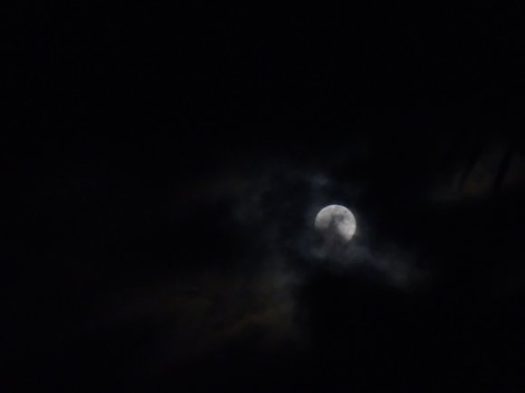 e0292172_20501462.jpg