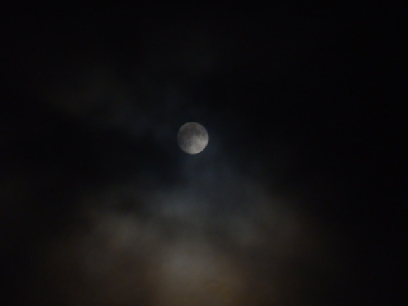 e0292172_20585651.jpg