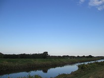 a0142083_1014673.jpg