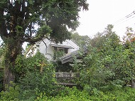 a0142083_22473039.jpg