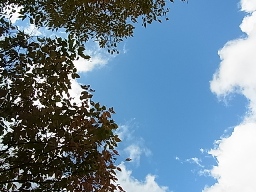e0155085_19124219.jpg
